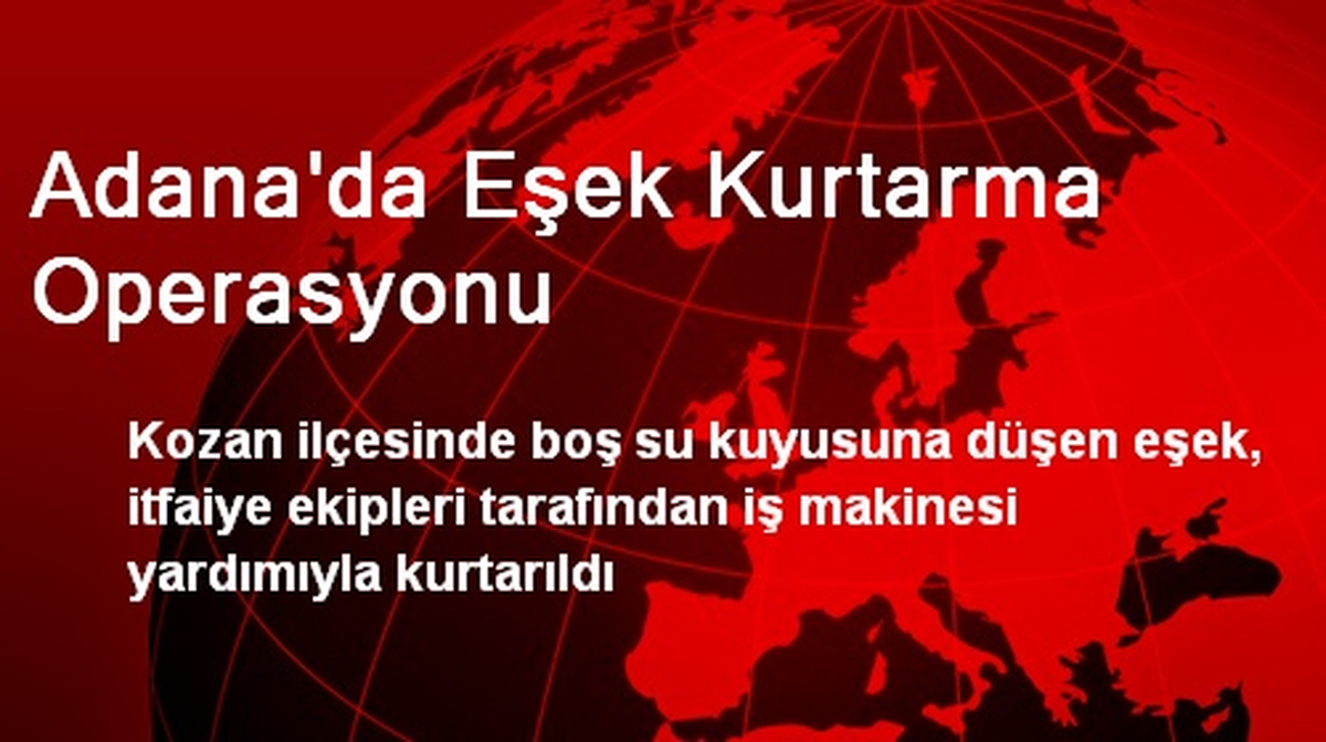 Adana\'da Eşek Kurtarma Operasyonu