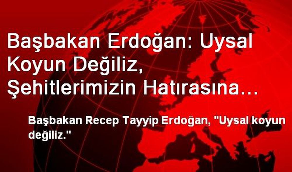 Başbakan Erdoğan: Uysal Koyun Değiliz, Şehitlerimizin Hatırasına El Uzattırmayız