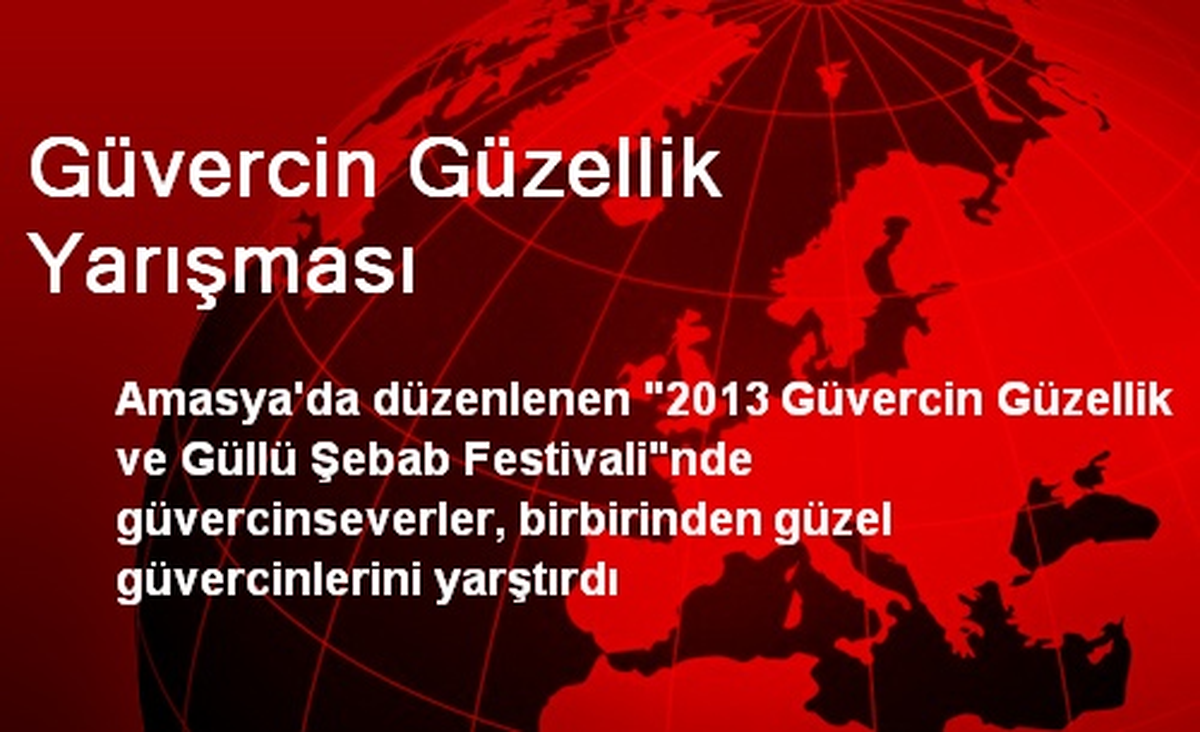 Güvercin Güzellik Yarışması