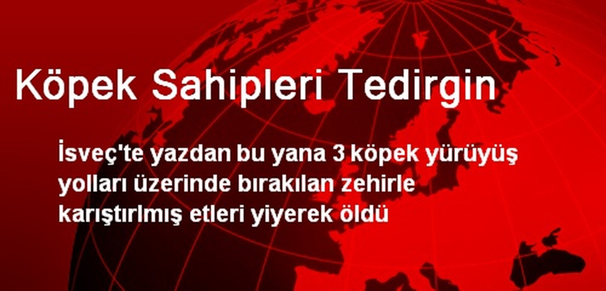 Köpek Sahipleri Tedirgin