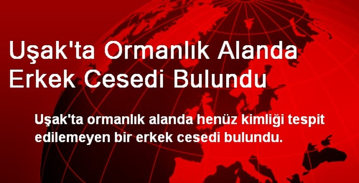 Uşak\'ta Ormanlık Alanda Erkek Cesedi Bulundu