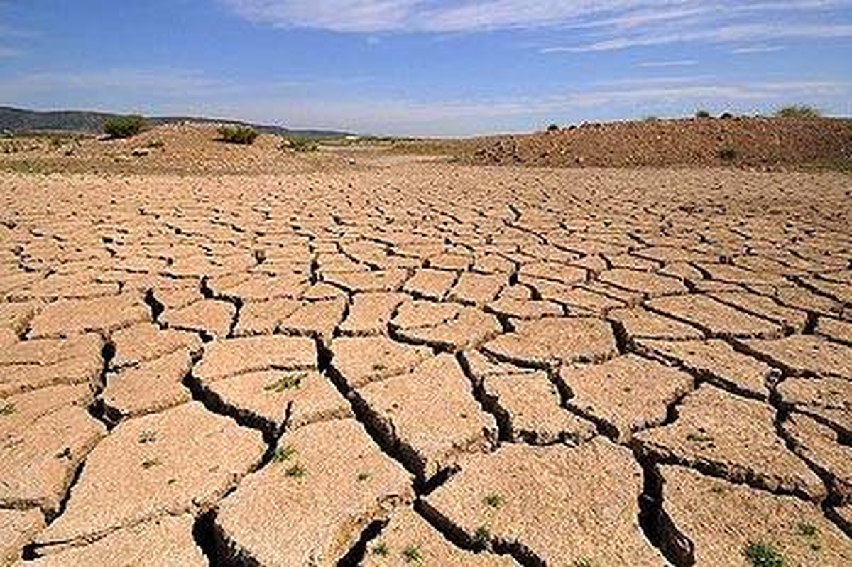 'Türkiye'de Çölleşme Tehlikesine Dikkat Çekildi'