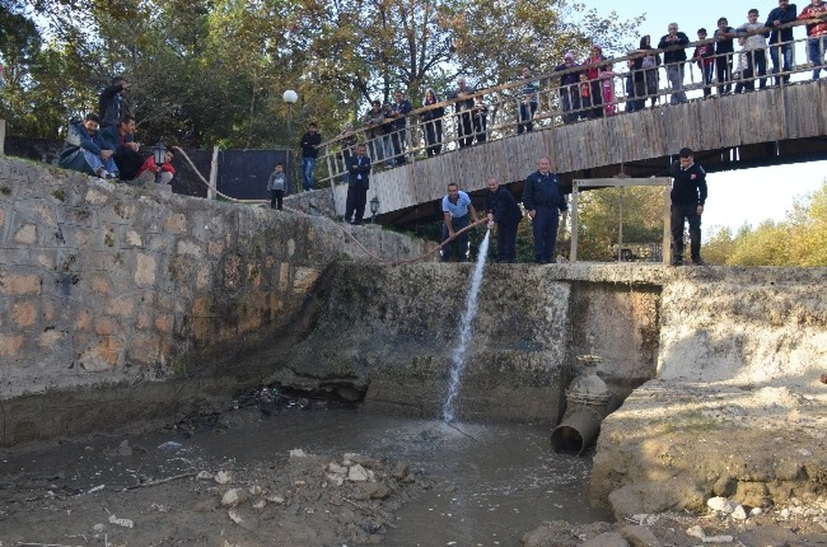 Balıklara Can Suyu