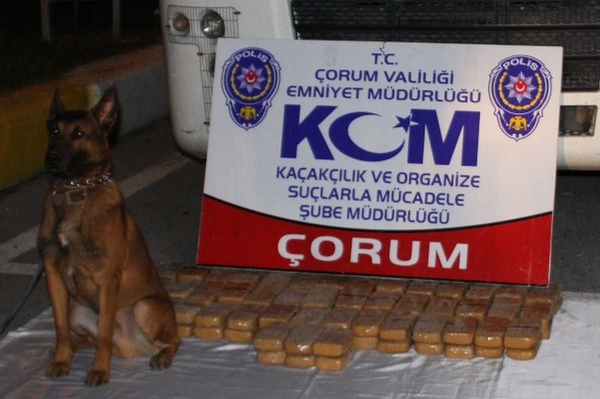 Çorum\'da 1.5 Milyon TL Değerinde Uyuşturucu Ele Geçirildi