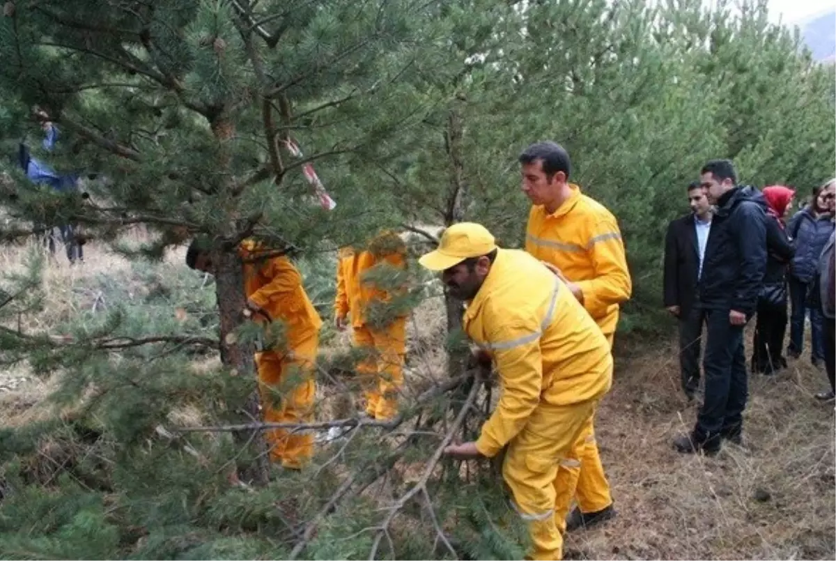 Erzurum Obm\'de Silvikültürel Tatbikatlar Devam Ediyor