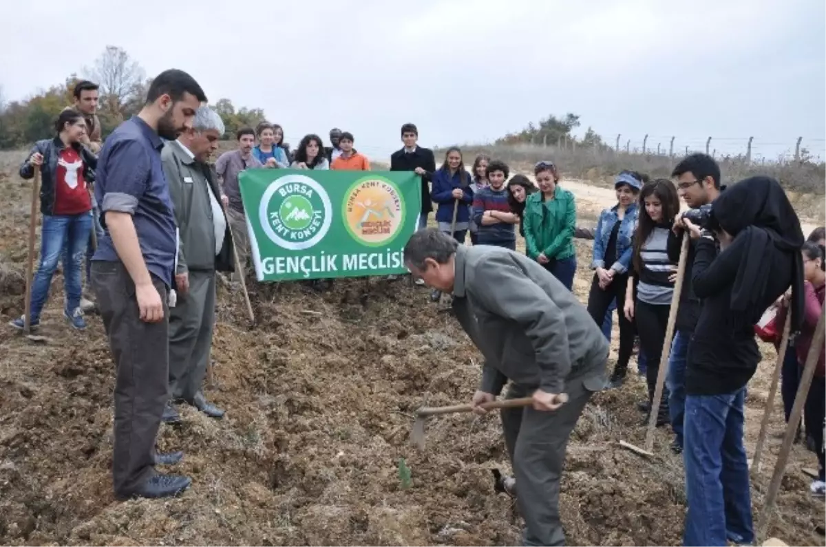 Gençlik Meclisi Fidan Dikti