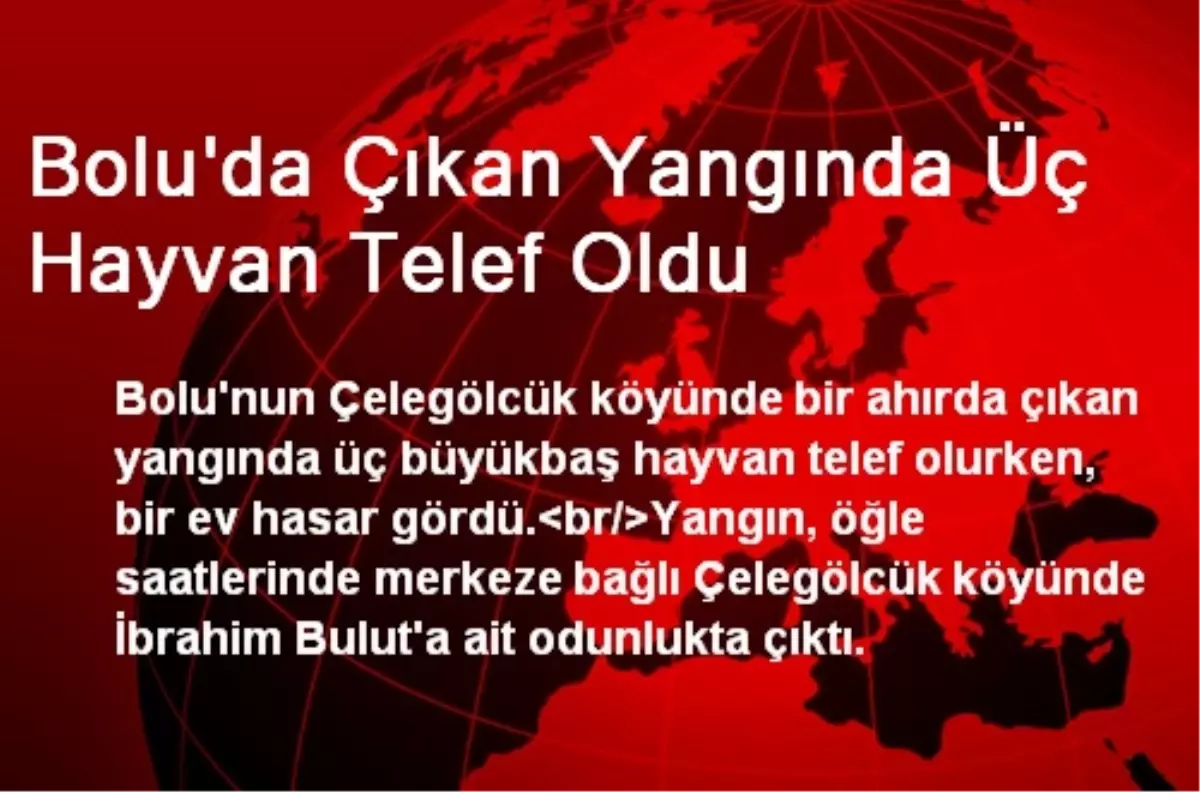 Bolu\'da Çıkan Yangında Üç Hayvan Telef Oldu