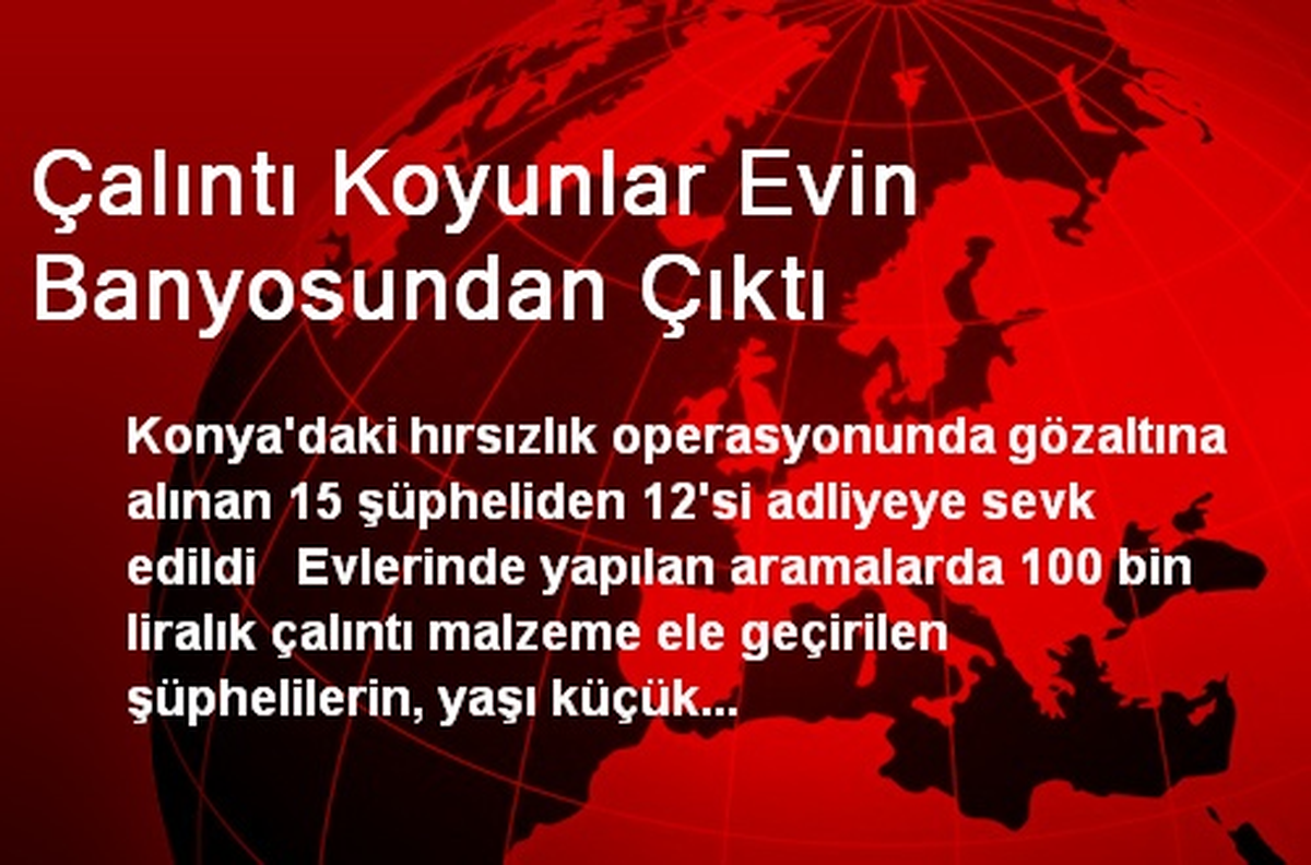 Çalıntı Koyunlar Evin Banyosundan Çıktı