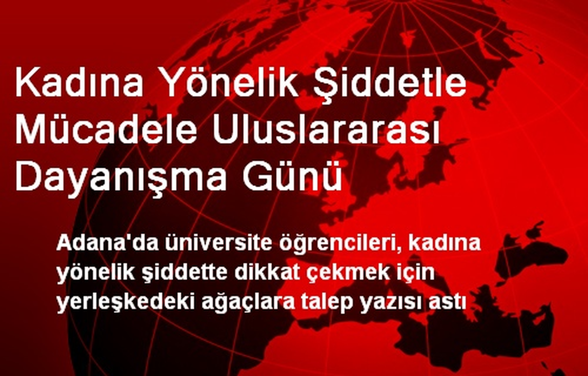 Kadına Yönelik Şiddetle Mücadele Uluslararası Dayanışma Günü