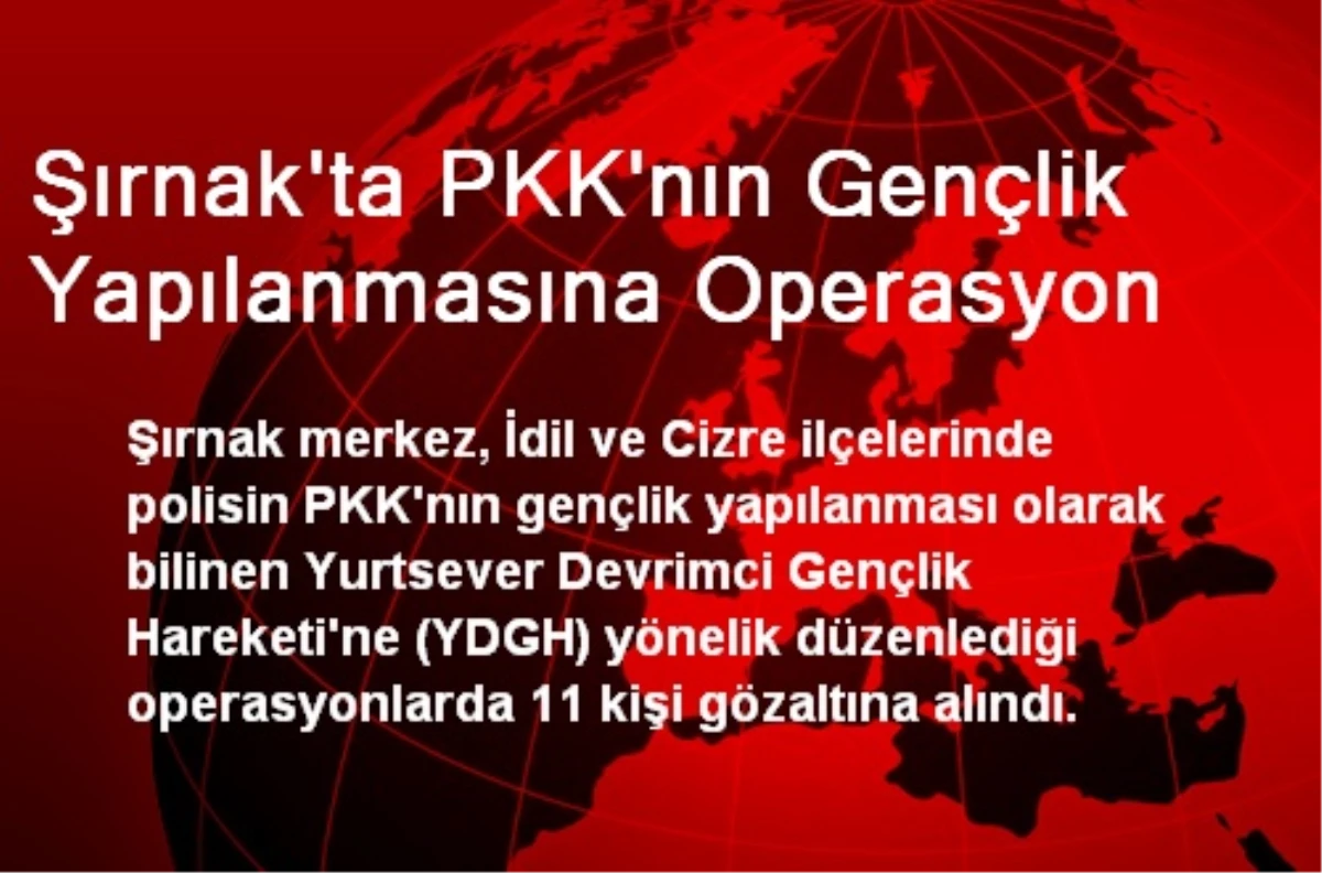 Şırnak\'ta PKK\'nın Gençlik Yapılanmasına Operasyon