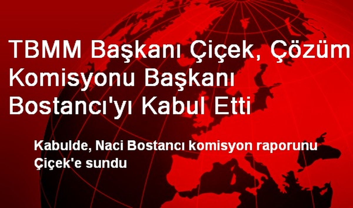 TBMM Başkanı Çiçek, Çözüm Komisyonu Başkanı Bostancı\'yı Kabul Etti