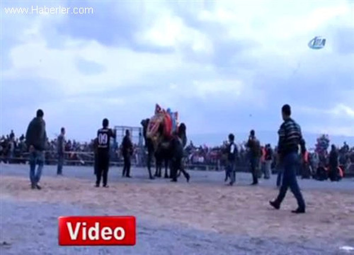 Pehlivan Develer Arenaya İndi