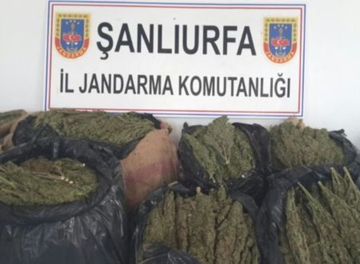 Şanlıurfa\'da Uyuşturucu Operasyonu