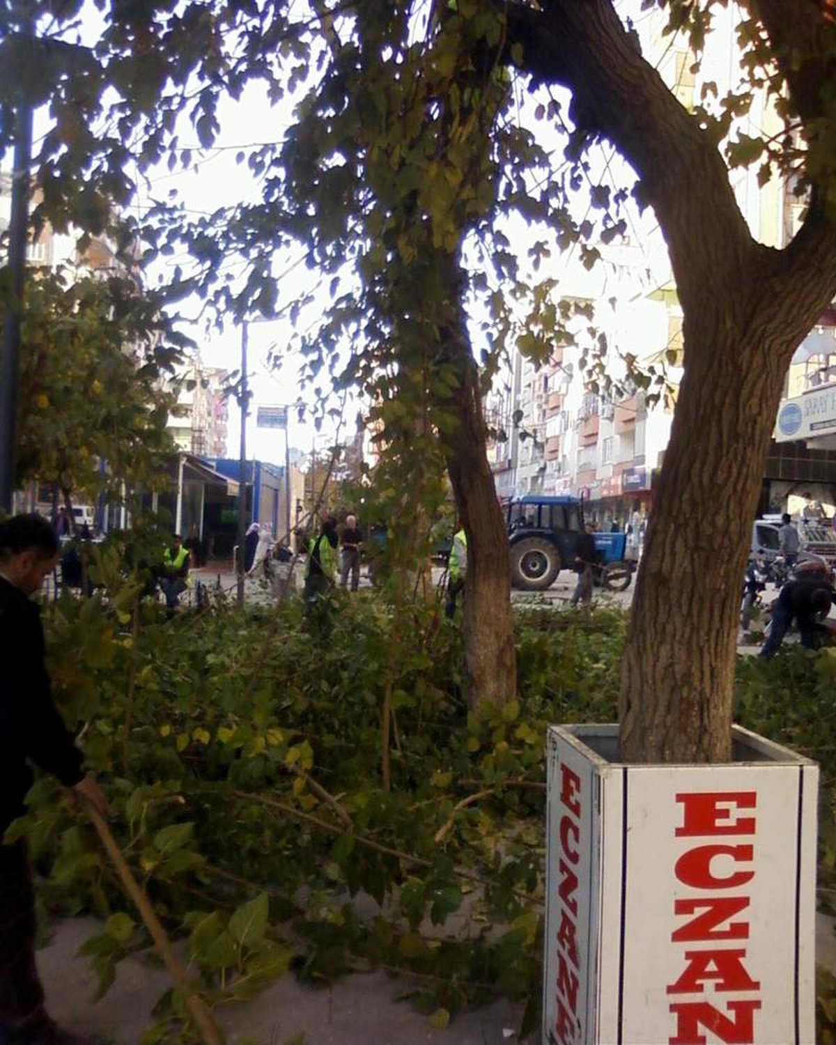 Siirt\'te Yapılan Ağaç Budamasına Vatandaş Tepkili