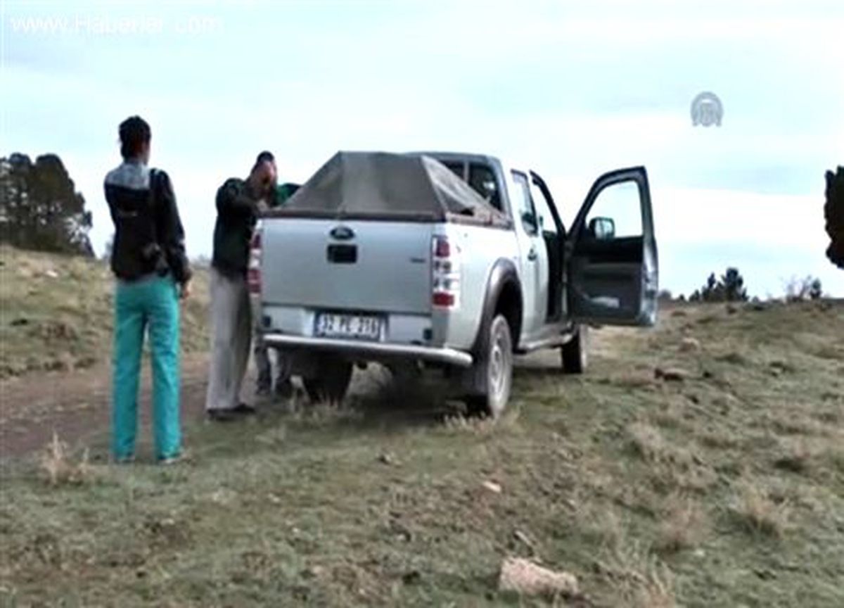 Tedavisi tamamlanan kara akbaba özgürlüğe kanat çırptı