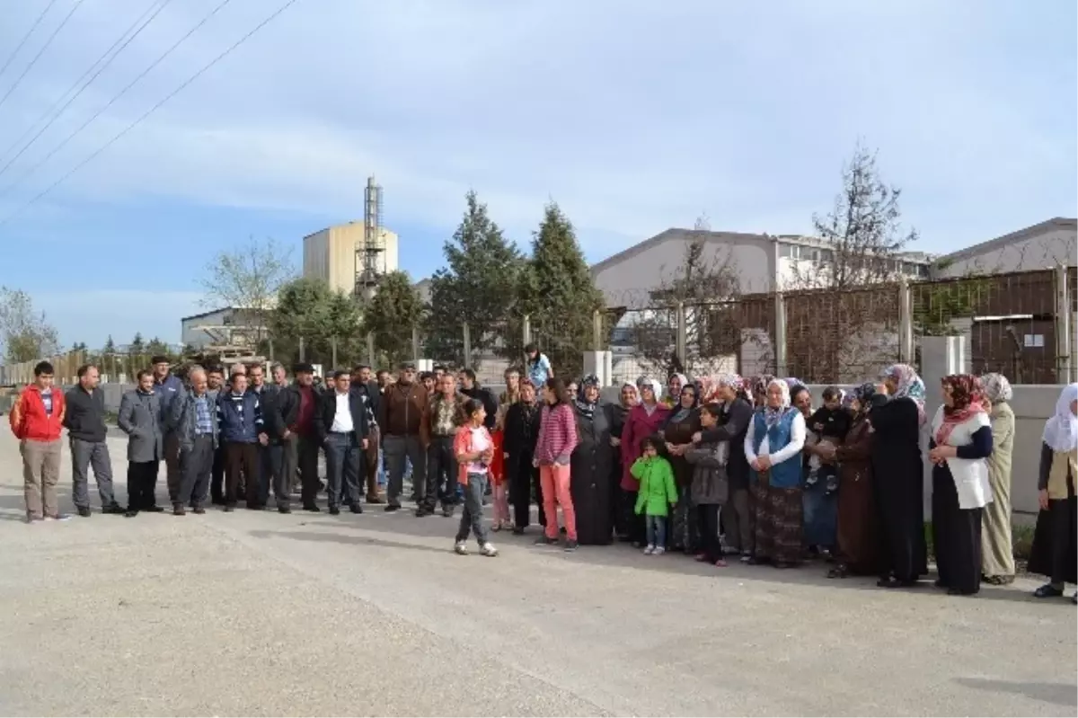 Vatandaşın Fabrika Dumanı Tepkisi