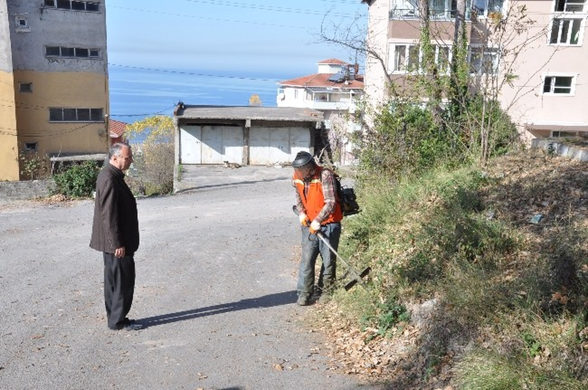 Alaplı\'da Yabani Ot ve Bitki Temizleme Çalışması
