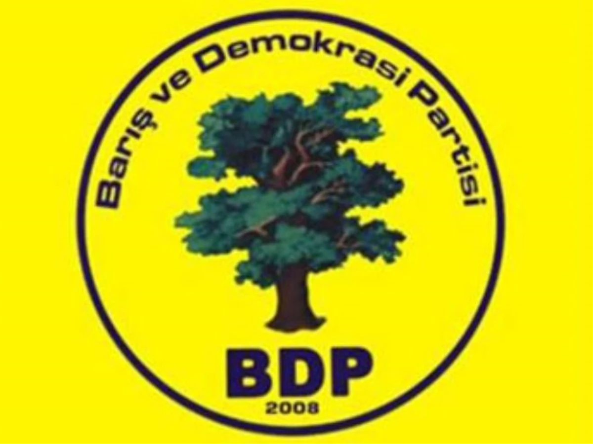 BDP: Ayla Akat Ata, Hakkari\'den Aday Değil