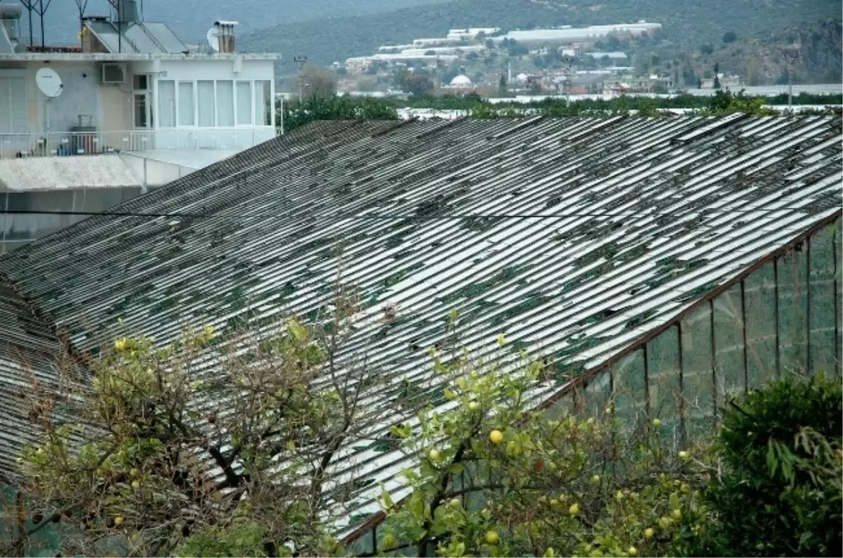 Dolu Seraların Camını Kırdı, Araçların Tavanını Çökertti