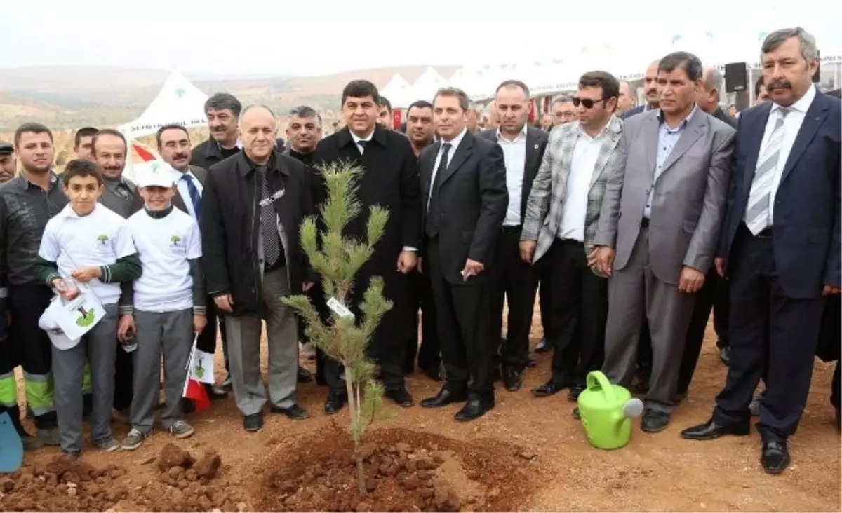 Gaziantep\'te 10 Bin Fidan Toprakla Buluştu