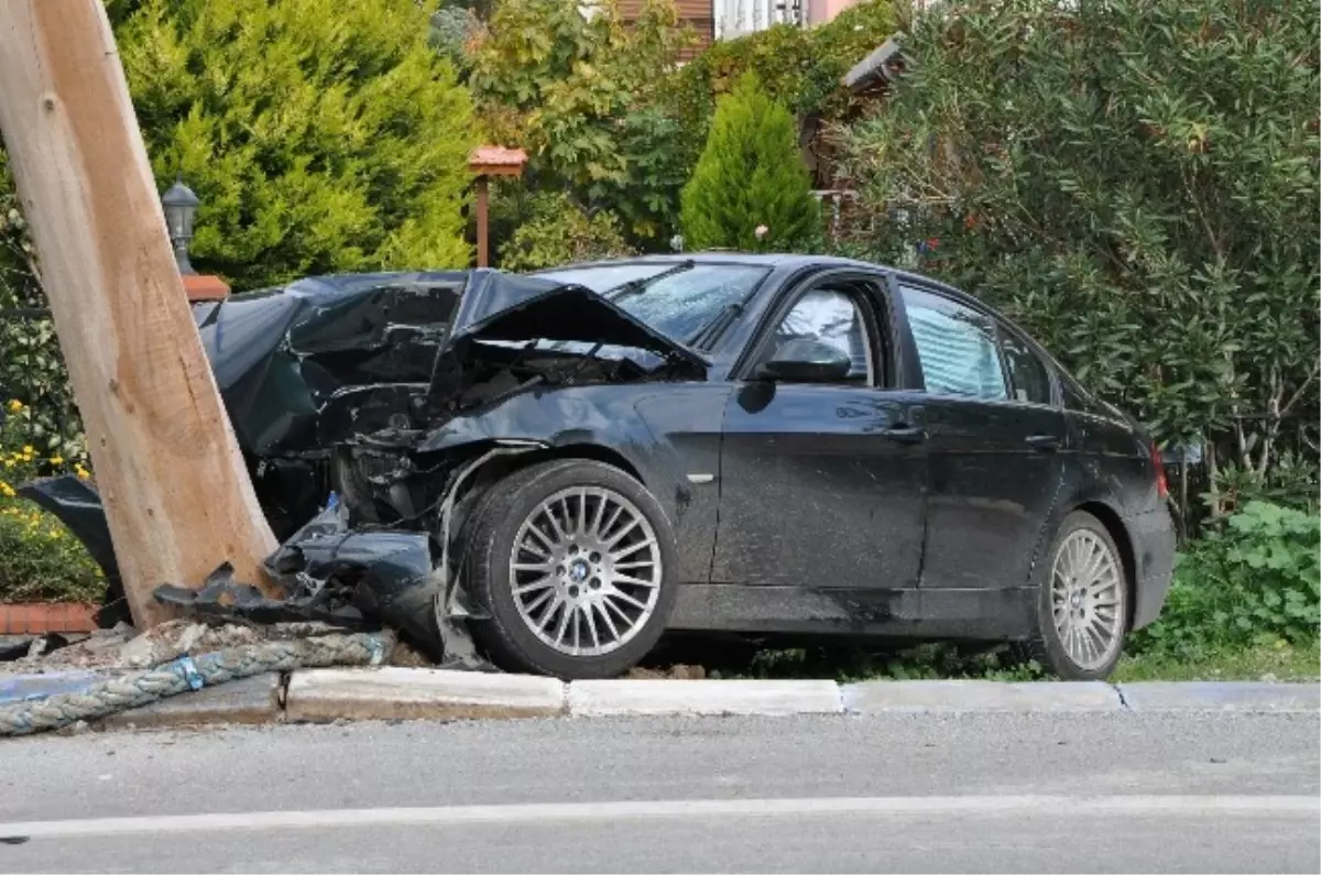 Okaliptüs Ağacına Çarparak Durabildi