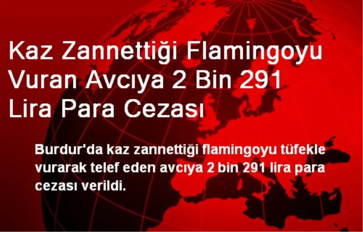 Kaz Zannettiği Flamingoyu Vuran Avcıya 2 Bin 291 Lira Para Cezası