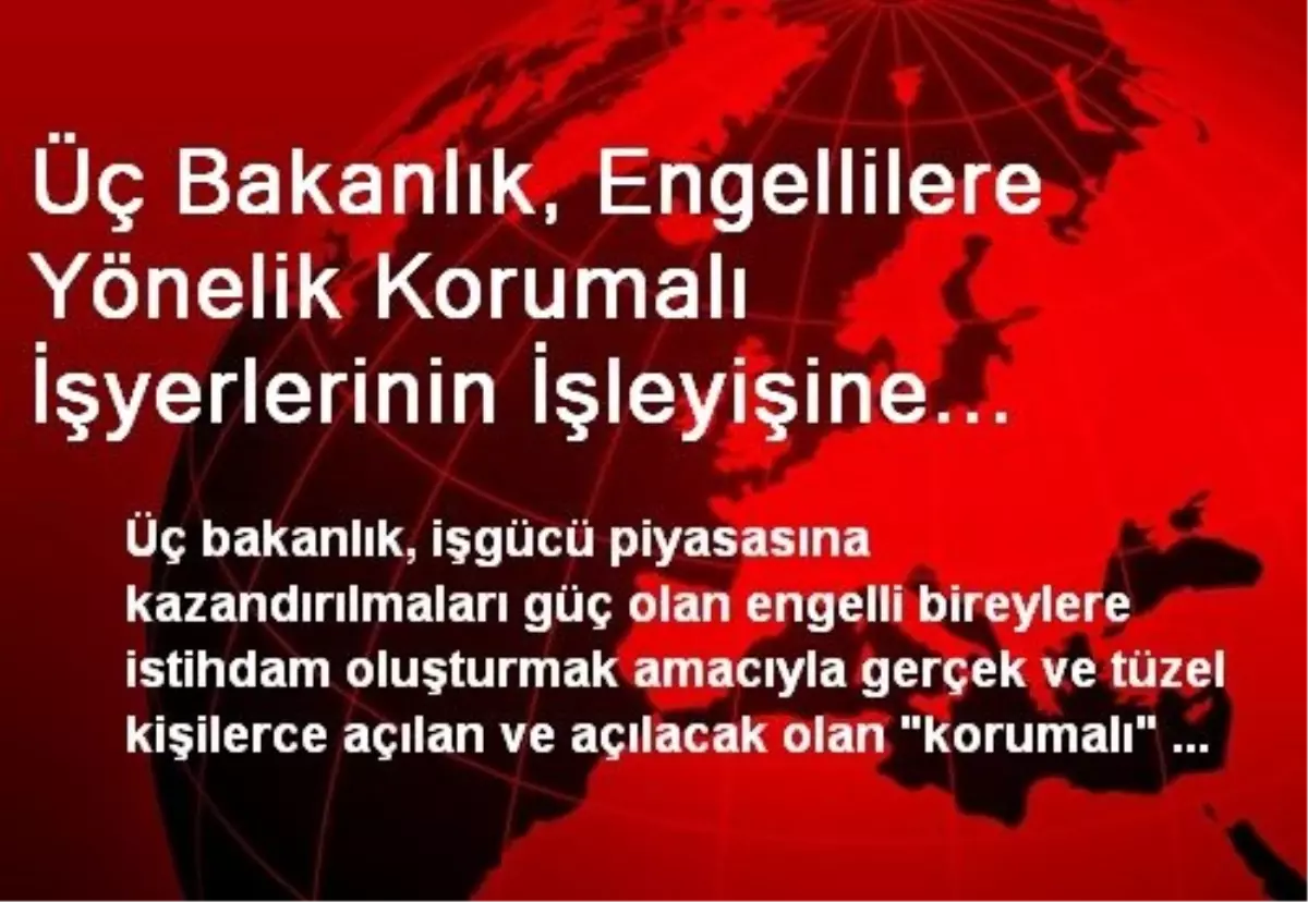 Üç Bakanlık, Engellilere Yönelik Korumalı İşyerlerinin İşleyişine İlişkin Usul ve Esaslarını...