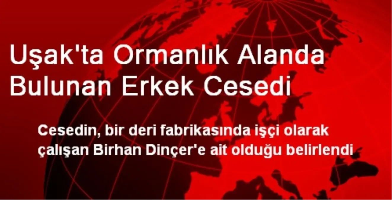 Uşak\'ta Ormanlık Alanda Bulunan Erkek Cesedi