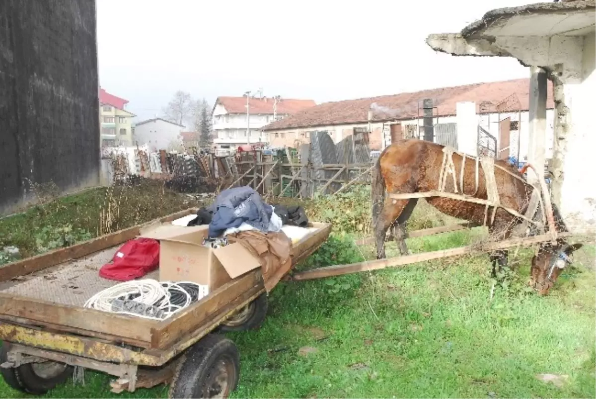 At Arabalı Hırsızlar Bahçelerde Arandı