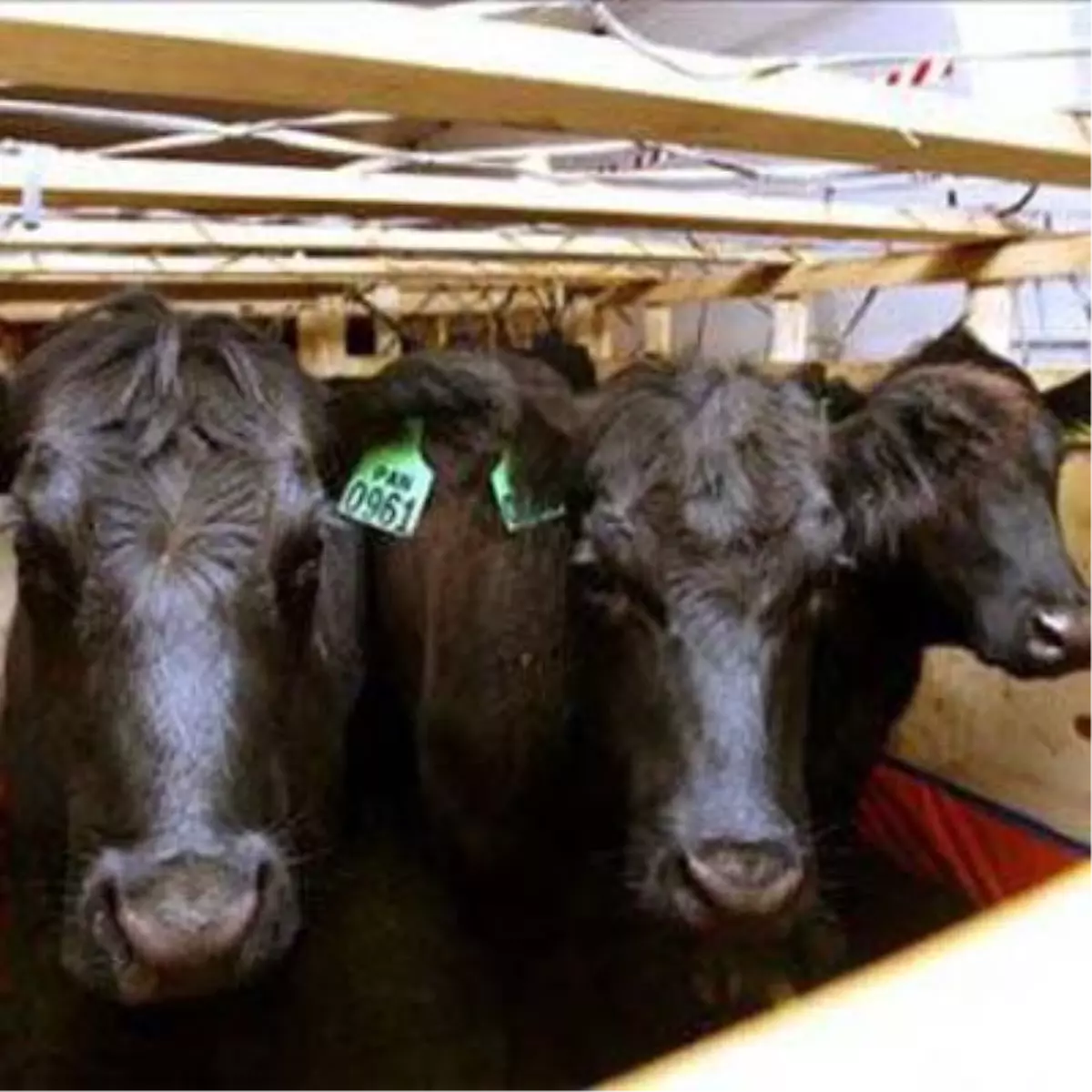 Ereğli'de Nakliyecilere 'Belge' Uyarısı