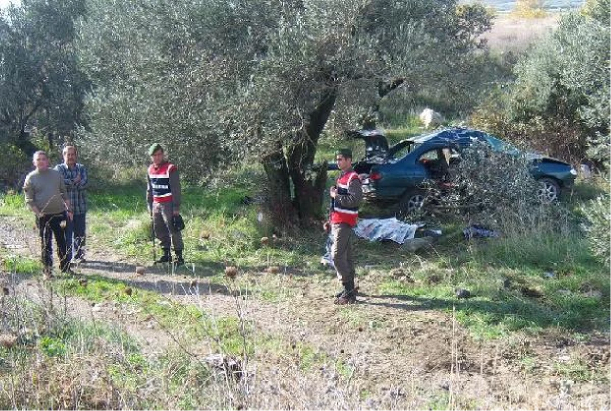 Kontrolden Çıkan Otomobil Zeytin Ağacına Çarptı: 1 Ölü, 3 Yaralı
