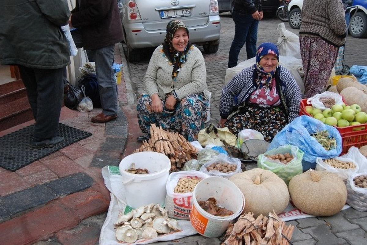 Mantar Köylünün Geçim Kapısı Olduı