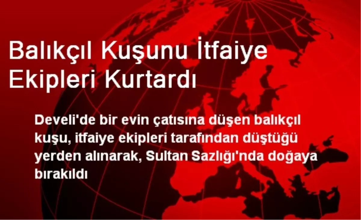 Balıkçıl Kuşunu İtfaiye Ekipleri Kurtardı