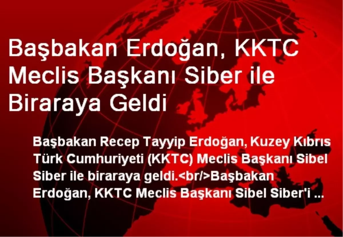 Başbakan Erdoğan, KKTC Meclis Başkanı Siber ile Biraraya Geldi