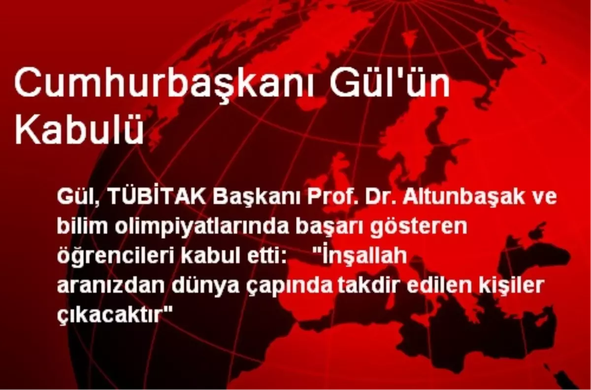 Cumhurbaşkanı Gül\'ün Kabulü