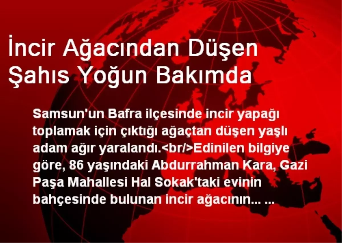 İncir Ağacından Düşen Şahıs Yoğun Bakımda