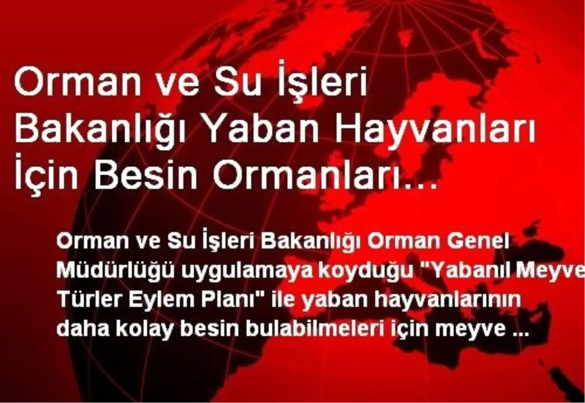 Orman ve Su İşleri Bakanlığı Yaban Hayvanları İçin Besin Ormanları Kuracak