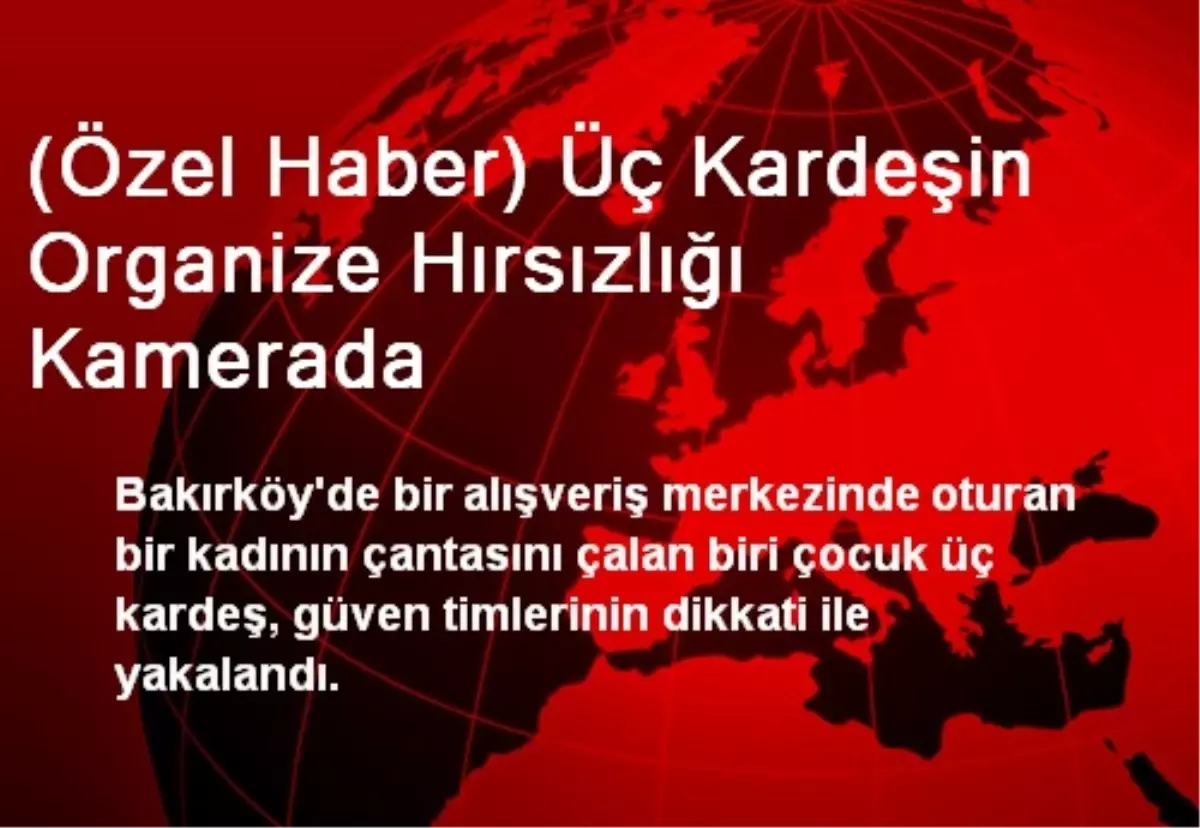 Üç Kardeşin Organize Hırsızlığı Kamerada