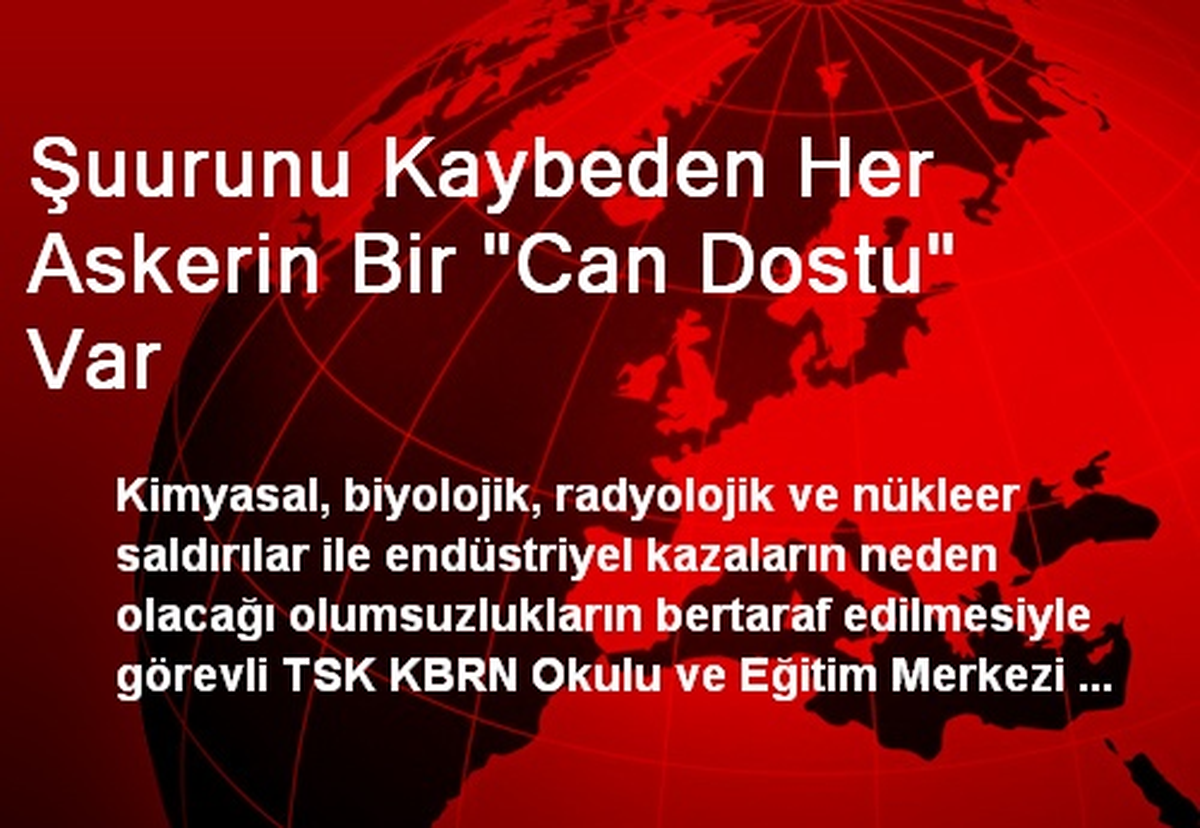 Şuurunu Kaybeden Her Askerin Bir "Can Dostu" Var