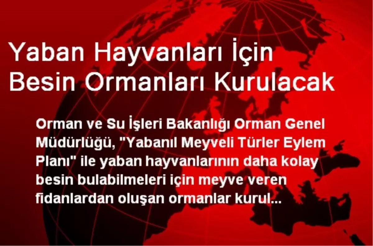 Yaban Hayvanları İçin Besin Ormanları Kurulacak