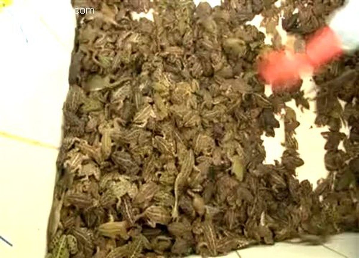 Türk mutfağında yeri yok ama getirisi çok
