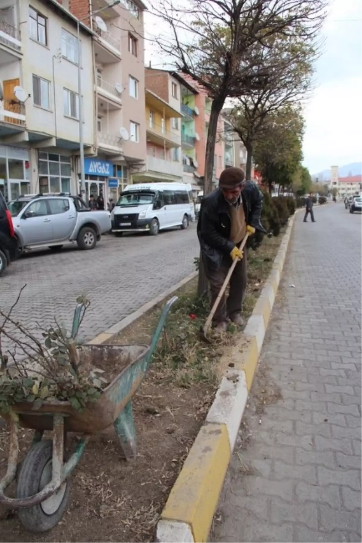 Çiçekler Kış\'a Hazırlanıyor