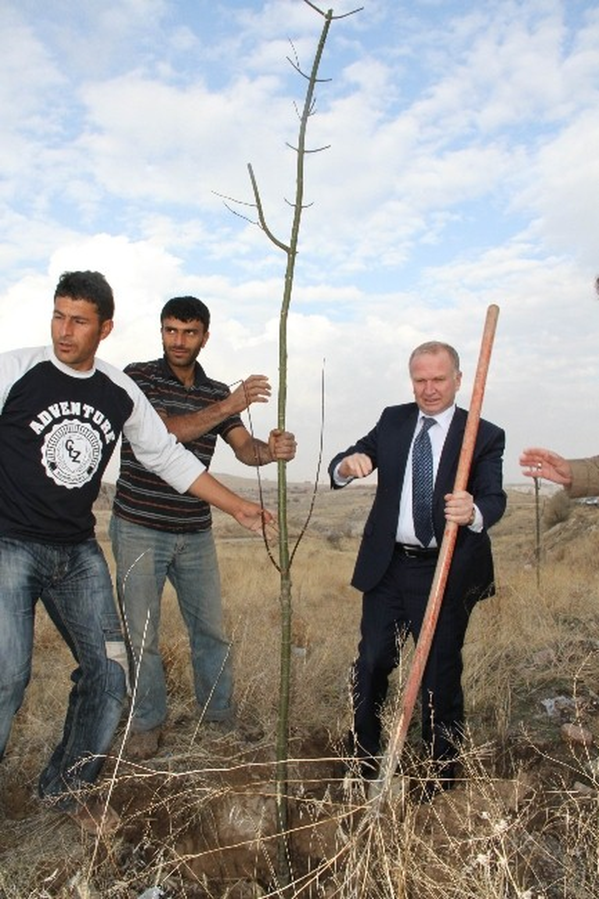 Karayolları Kenarları Ağaçlandırılıyor