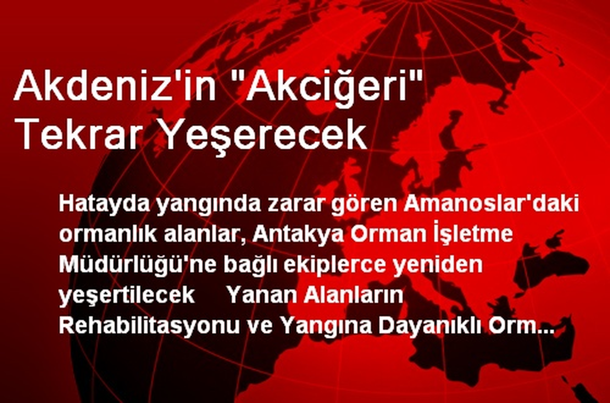Akdeniz\'in "Akciğeri" Tekrar Yeşerecek