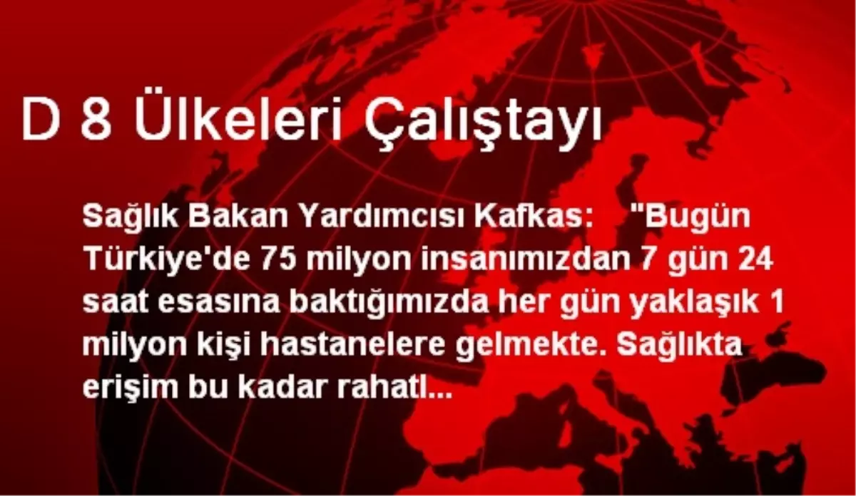 D 8 Ülkeleri Çalıştayı