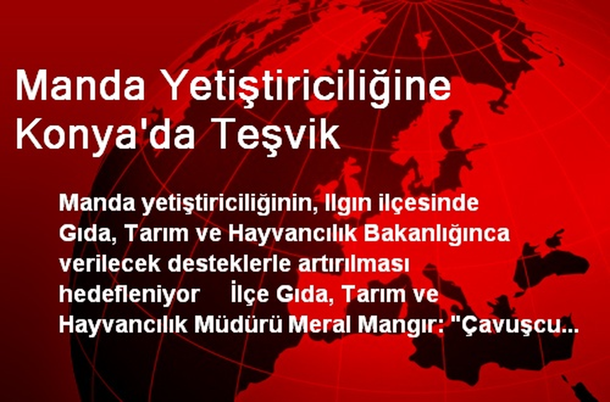 Manda Yetiştiriciliğine Konya\'da Teşvik