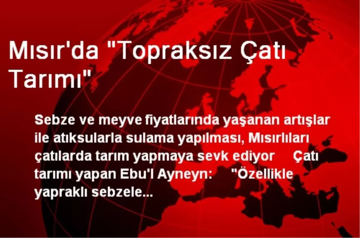 Mısır\'da "Topraksız Çatı Tarımı"