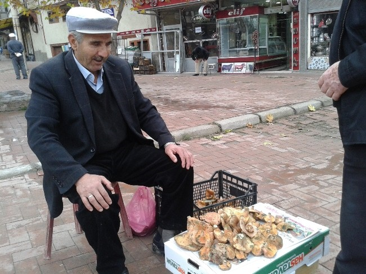 Çanakkale \'Melki\'si İlgi Görüyor