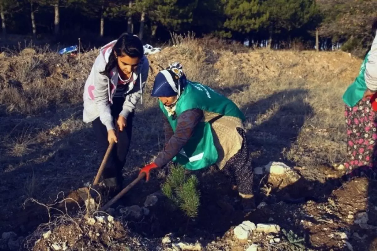 Eskişehir\'de İlkokul Öğrencileri Fidan Dikti