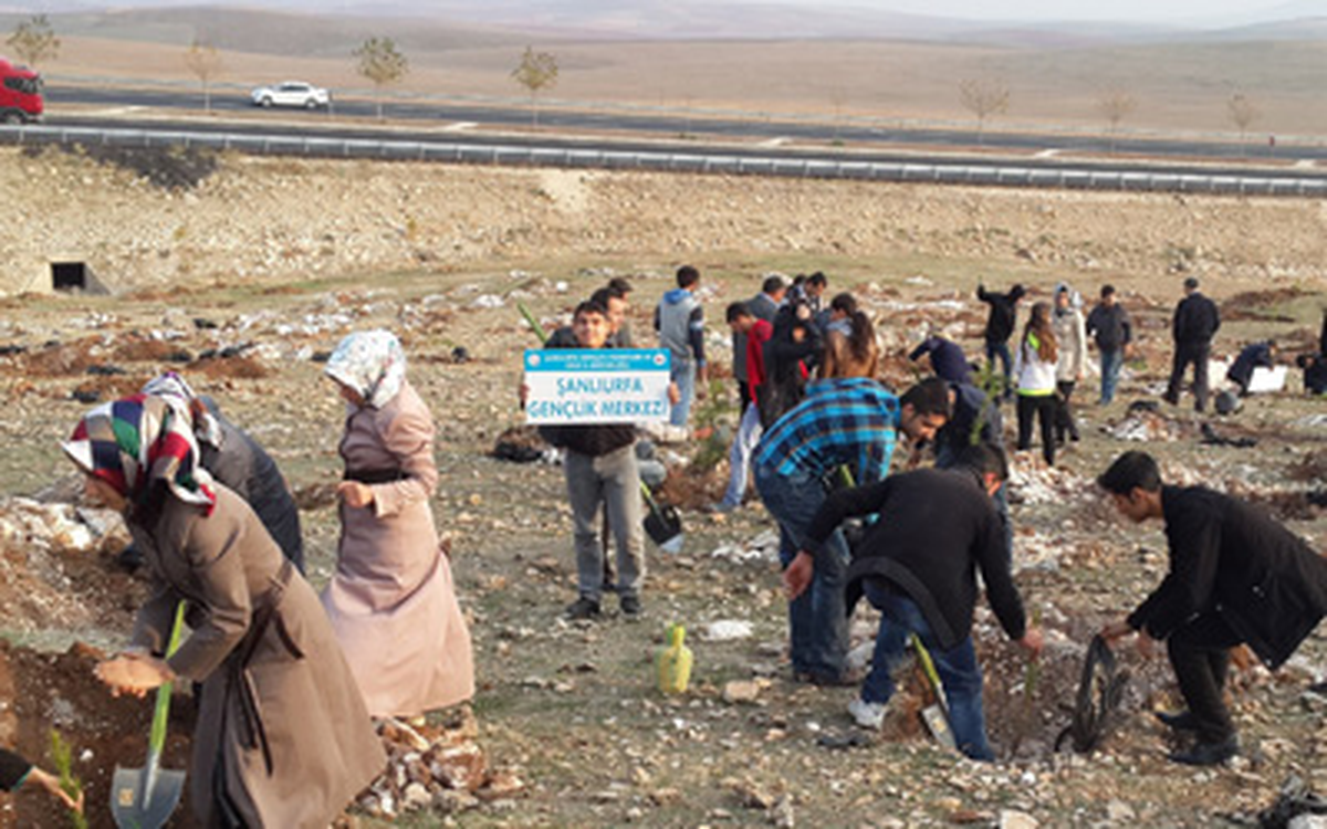Gençler, Yeşil Bir Urfa İçin Fidan Dikti